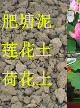 河塘淤泥塘泥睡莲荷花专用土荷塘泥水生花卉泥种植土花土菜土通用