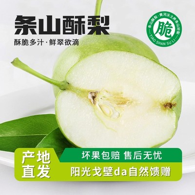 条山酥梨10斤应季梨园现摘现发早酥梨多汁青皮脆甜细腻新鲜水果