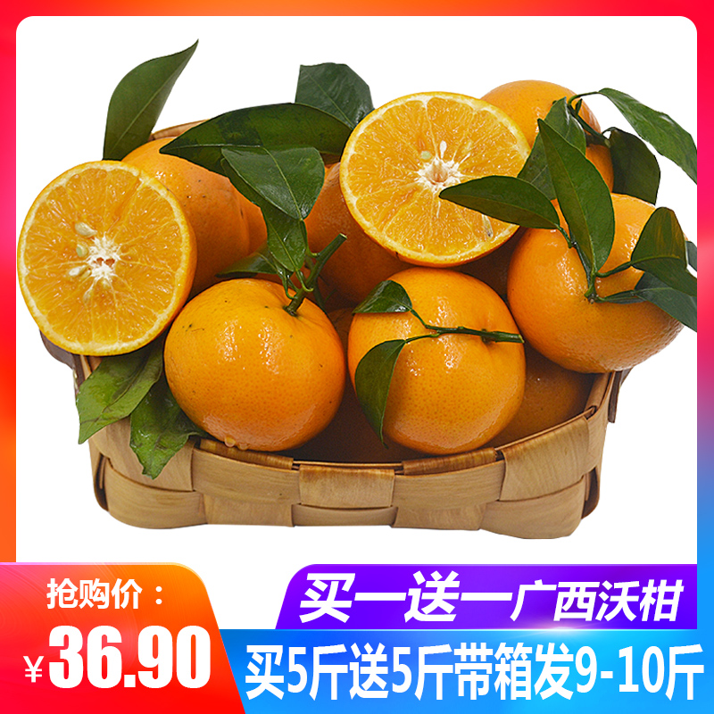 买一送一新鲜广西沃柑5斤包邮当季时令水果现发10柑橘桔子橘橙 千楼九寨水果旗舰店