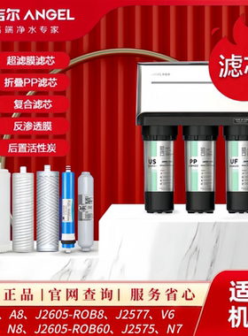 安吉尔净水器滤芯J2605-ROB8全套新A4/A6/V6/N7/A8/原装J2577正品