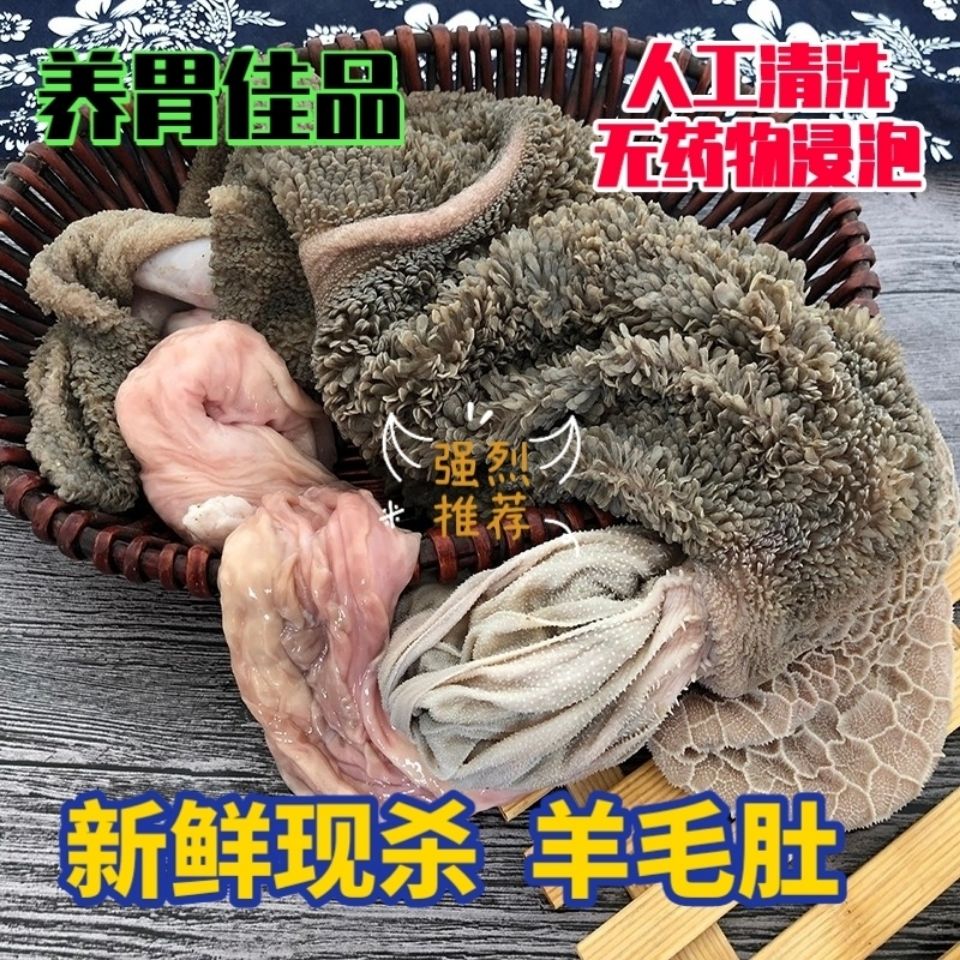 2斤新鲜现杀生羊毛肚毛肚羊杂碎生羊肉