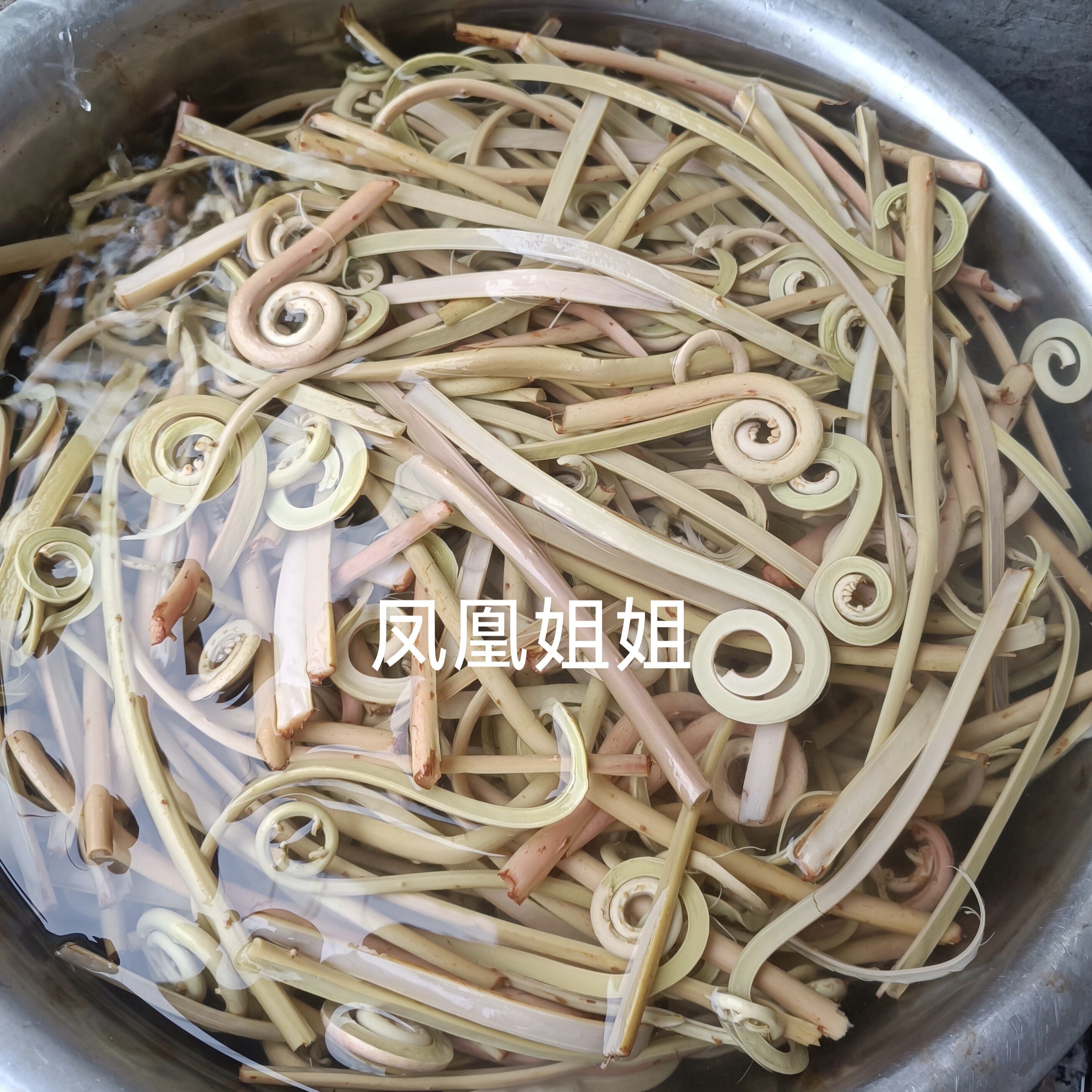 野生现摘现煮熟蕨菜3斤赤撅菜拳头菜猫爪菜清明菜福建野菜已焯水
