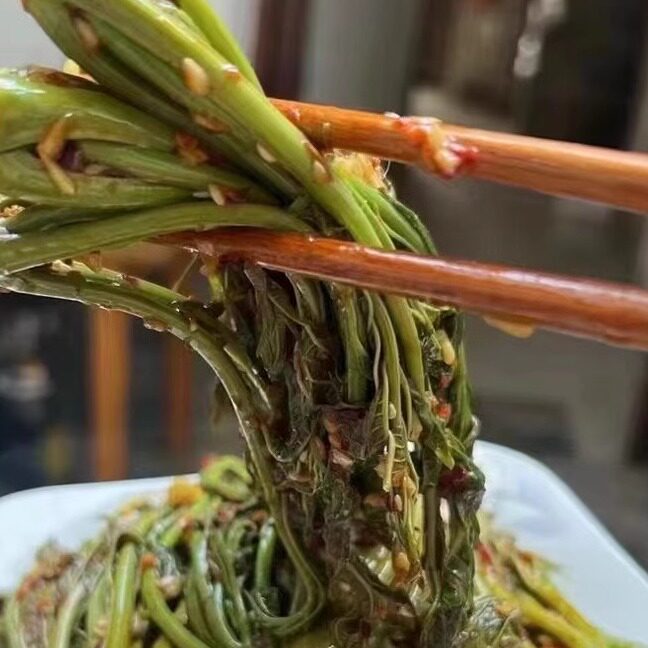 湖北宜昌长阳特产农家自制腌制咸菜下饭菜腌椿天芽即食香椿芽