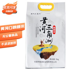 山东东营黄河口大米黄河三角洲晚粳米5kg熬粥米饭伴手礼