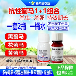抗性蓟马专用药  蔬菜辣椒豇豆角蓟马杀虫剂 多杀霉素.溴氰虫酰胺