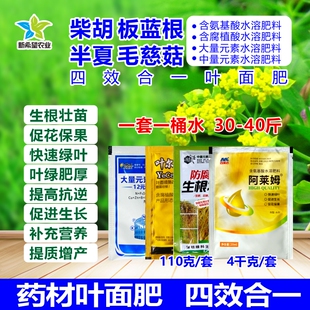 柴胡板蓝根半夏毛慈姑叶面肥 壮根膨大防病营养增产 氨基酸水溶肥