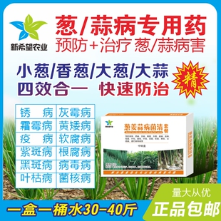 香葱小葱大葱大蒜生姜专用杀菌剂白粉锈病疫病霜霉灰霉病根腐杀菌