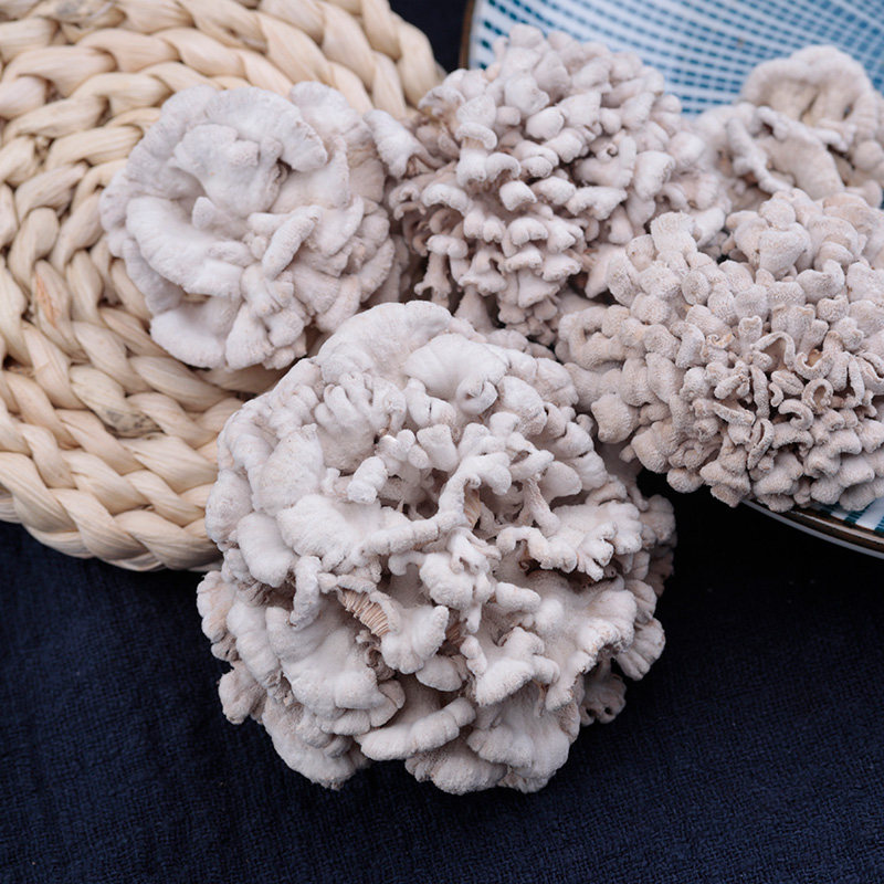 云南白参菌干货云南特产裂褶菌雪莲菌食用菌蘑菇