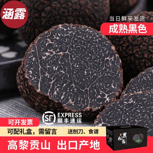 云南新鲜黑松露成熟黑色野生菌