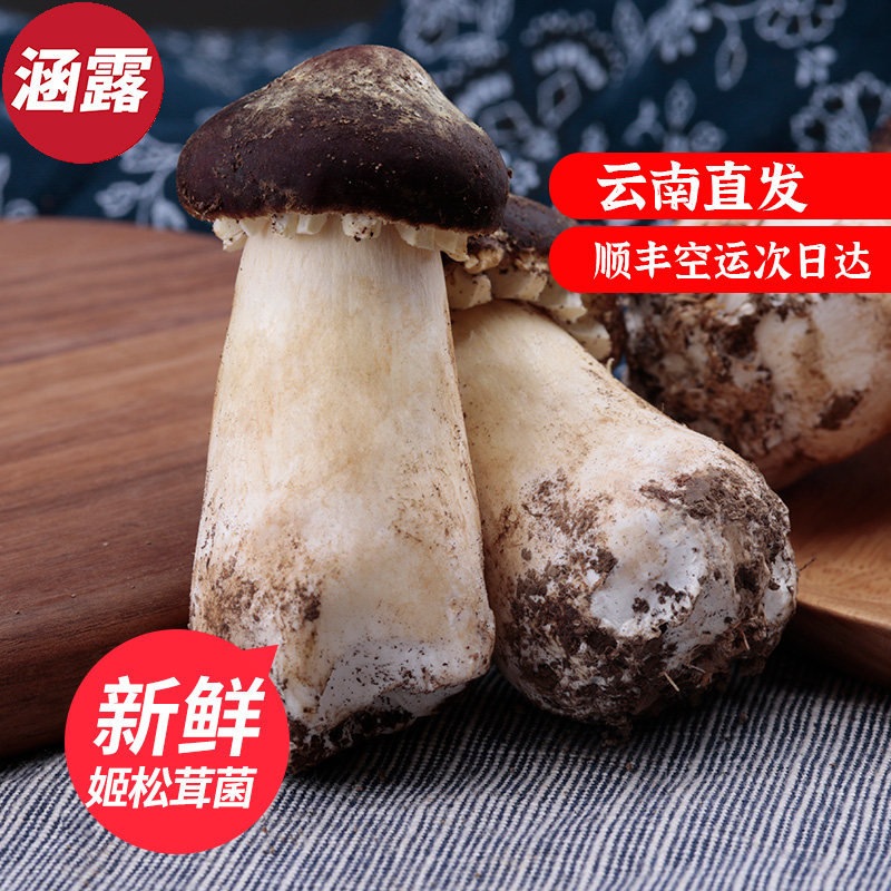 新鲜姬松茸巴西菇香格里拉姬松茸菌云南特产炖汤火锅食材1000g