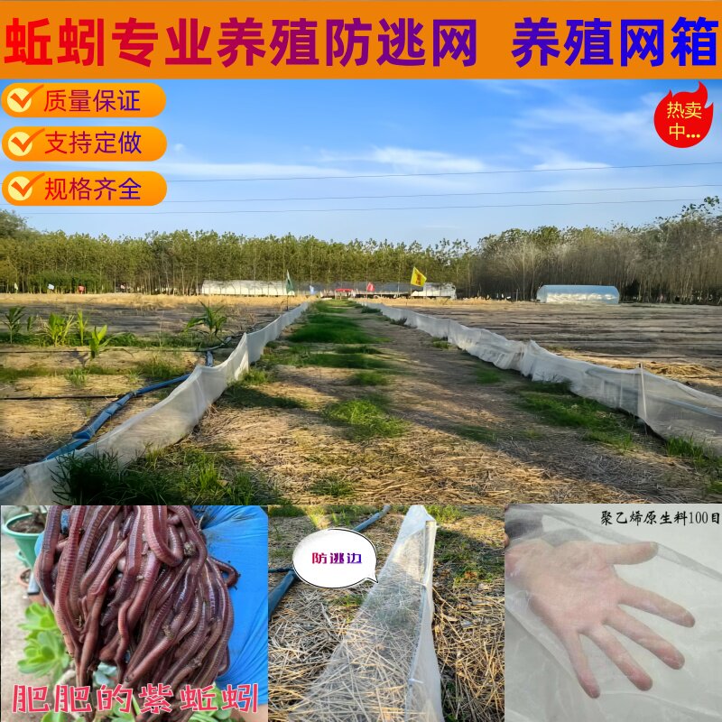 100目80目蚯蚓养殖防逃网专用养殖网箱专业养蛇网箱支持定做