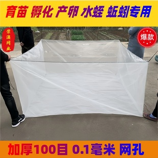 加厚100目养殖网箱专用水蛭水花鱼苗产卵孵化蚯蚓黄鳝锦鲤育苗箱