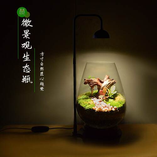 桌面款植物灯全光谱补光灯