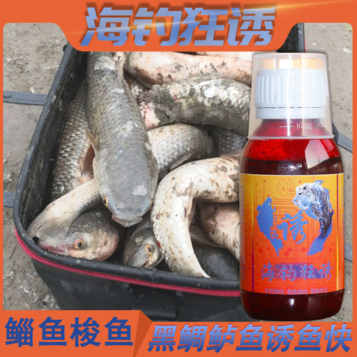 海钓狂诱钓鱼小药梭鱼鲻鱼饵料乌头鱼窝料黑头鲈鱼路亚饵黑鲷小药 - 封面