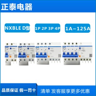 正泰D型 NXBLE-63/32空气2P家用63A断路器32A开关带漏电保护器