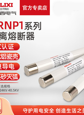 德力西XRNP1-12 24 40.5kv高分断能力高压限流熔断器 0.5-1A电气