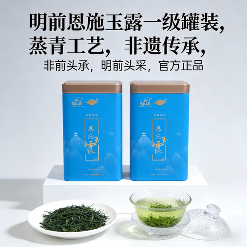 恩施玉露明前一级针形250g罐装