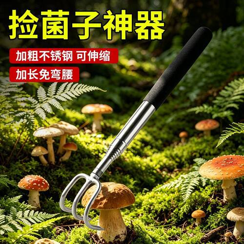 长柄赶海伸缩捡菌子小耙子拾菌找拾野生蘑菇菌工具耙捞肉钩子