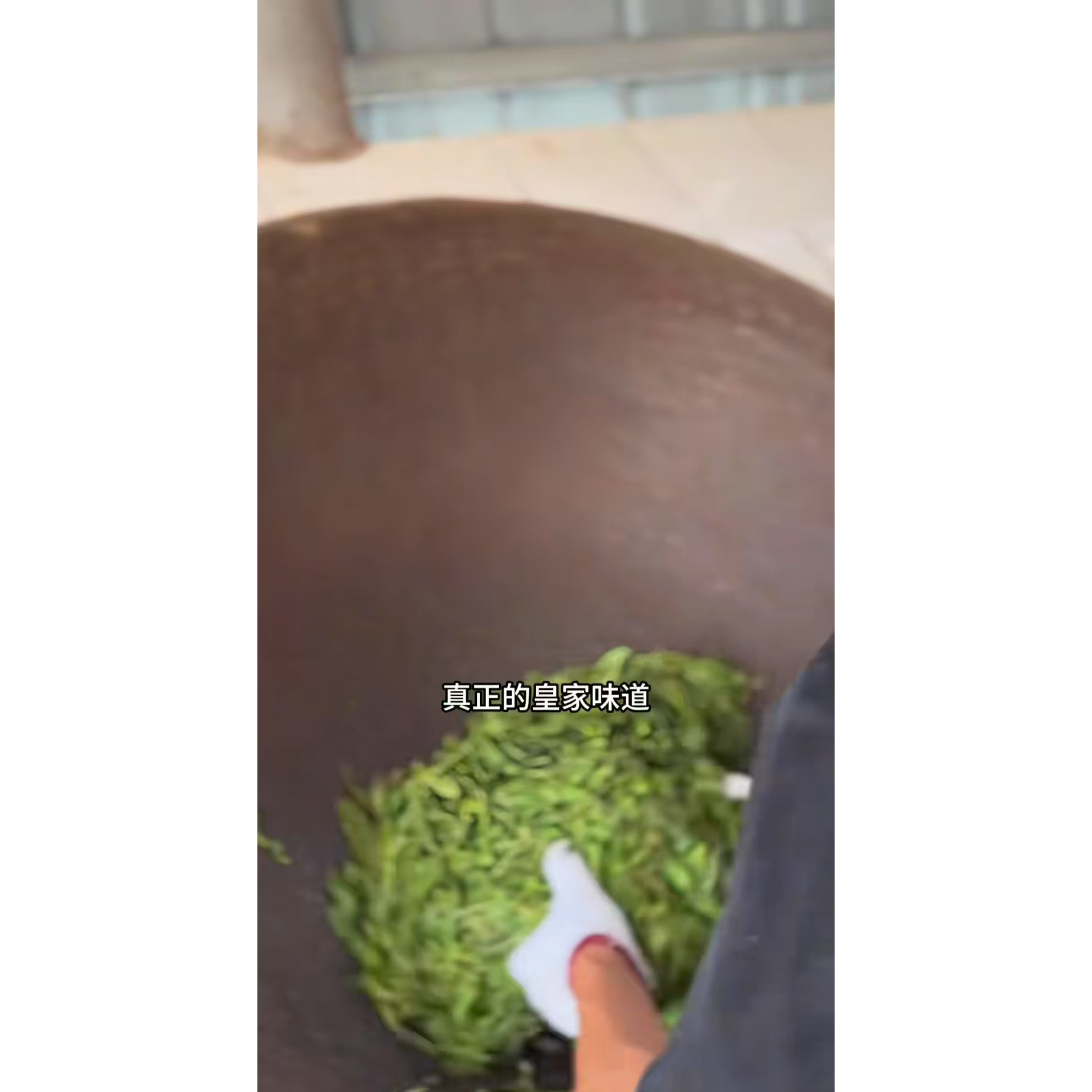 2019年梅子箐锅底塘600单株100g茶饼【饼茶通用】