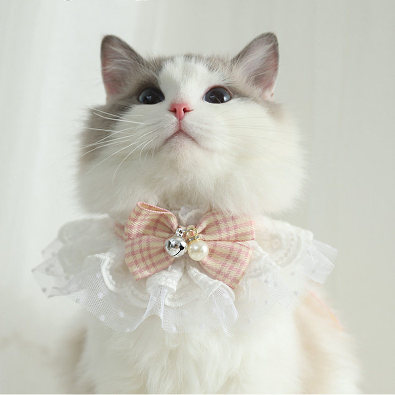 猫咪狗狗围脖蕾丝蝴蝶结口水巾
