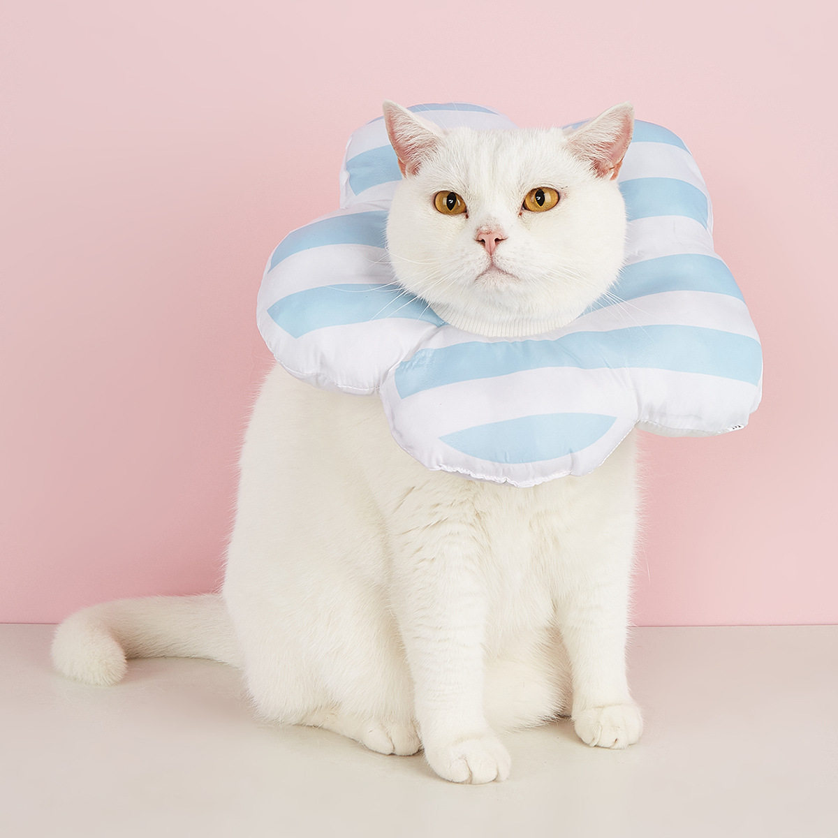 猫狗通用术后防舔头套伊丽莎白圈