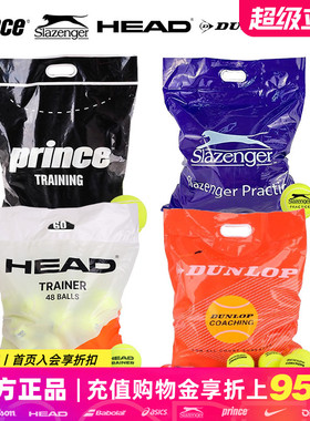 HEAD海德/Dunlop邓禄普Coaching/王子/史莱辛格耐磨耐打训练网球