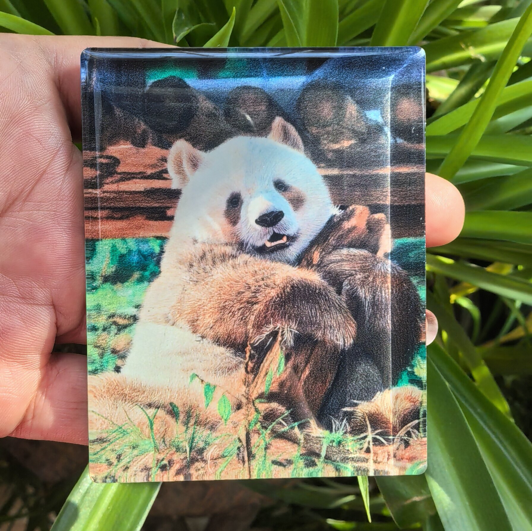 巧克力大熊猫七仔手绘抱木桩订制冰箱贴棕色熊猫亚克力滴胶冰箱贴