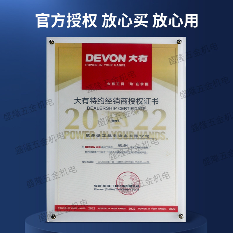 大有5401充电电锤无刷20V锂电多功能电镐冲击钻大功率电动工具