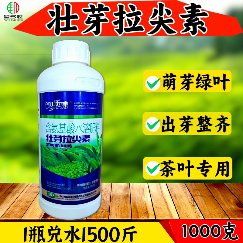 茶叶茶树专用壮芽拉尖素芽多芽壮叶片厚增产抗病抗逆氨基酸叶面肥