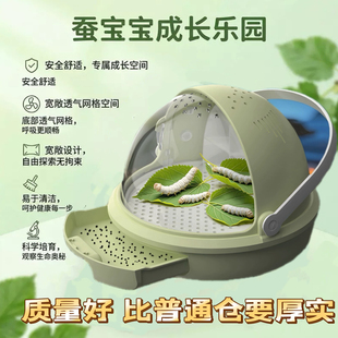 蚕宝宝学生养蚕套餐太空舱活体幼虫蚕卵套装全套工具饲养盒彩色