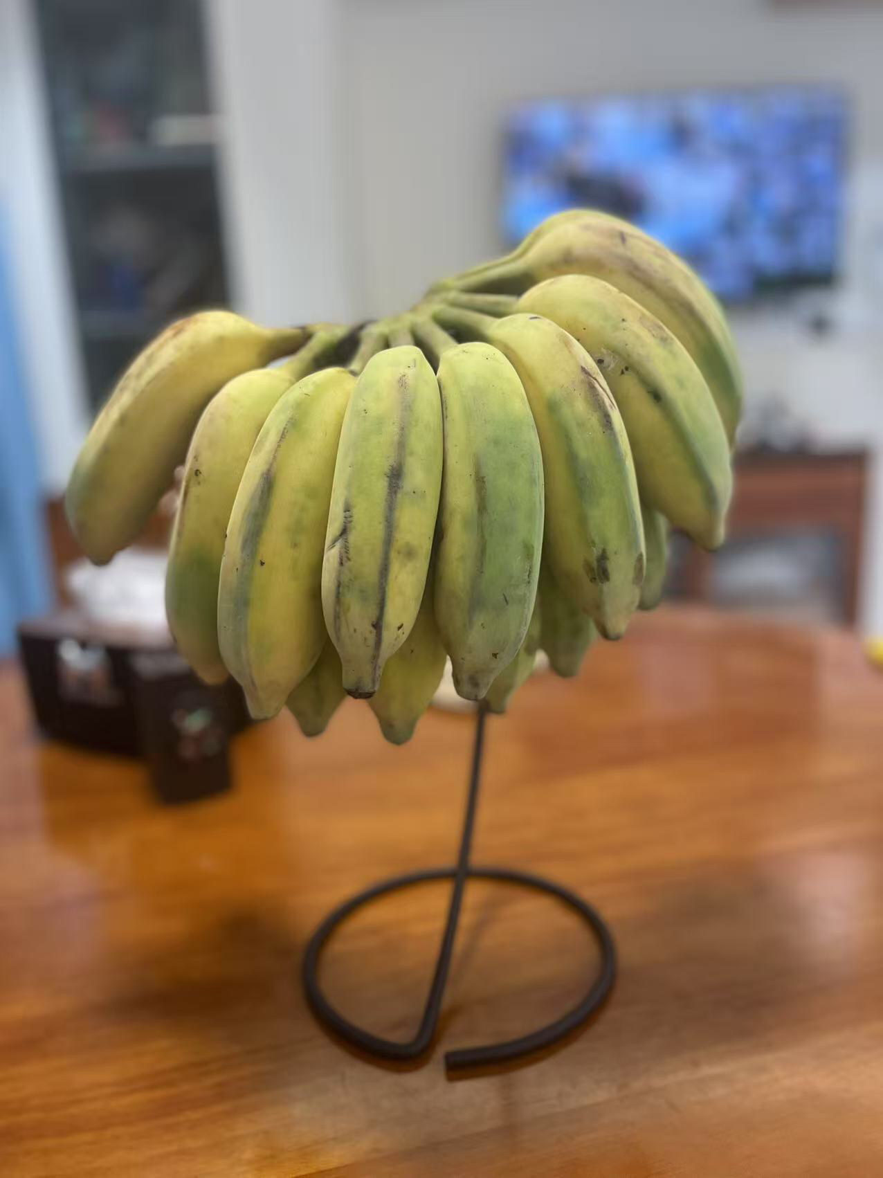 桌面立式挂架悬挂式置物架挂饰品架子承重好香蕉挂架微景观瓶吊架