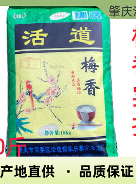 梅香米产地直销广东肇庆特产活道大米雪花超长粒优质