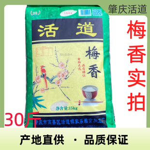 正常发货］梅香米产地直销广东肇庆特产活道大米雪花超长粒优质