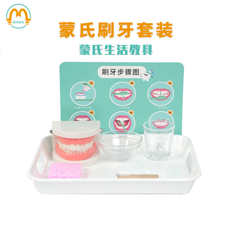 萌学蒙氏教具刷牙洗漱套装早教益智玩具假牙牙模型幼儿园认知牙齿