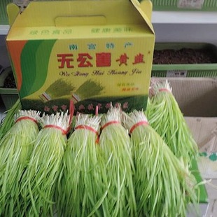 南宫韭菜黄韭菜无公害有机黄韭菜农家蔬菜新鲜现割包饺子馅年送礼