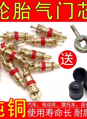 适用于雪佛兰科鲁泽迈锐宝探界者科沃兹美式纯铜气门芯轮胎通用
