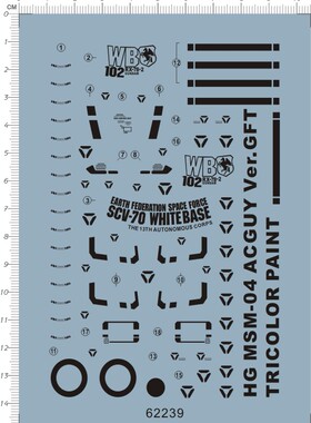 62239-1E08 MG MSM-04 ACGUY Ver.GFT TRICOLOR 龟霸台场水贴1