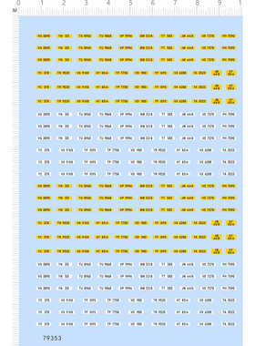 79353整版水贴中国香港比例模型车车牌定制打印2403可撕膜不干胶