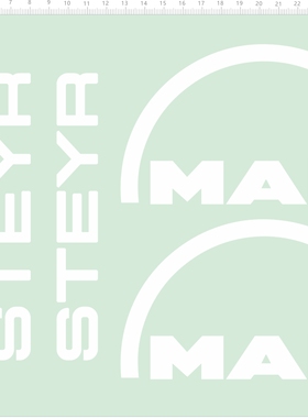 65944比例模型卡车剪纸水贴纸MAN Steyr遥控车不干胶定做订做定制