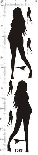 4801-@105  sex sexy girl 性感美女内裤金属贴