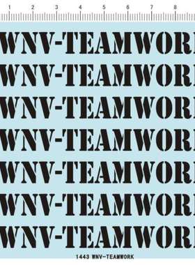 1443-A1907 WNV-TEAMWORK 模型用水贴纸