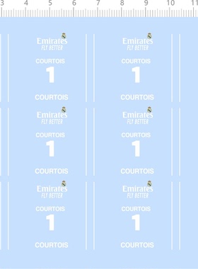 75765整版水贴 Emirates COURTOIS 1 模型水贴定制打印2310