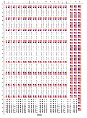 61116-A41837 united states USA 美国国旗 水贴