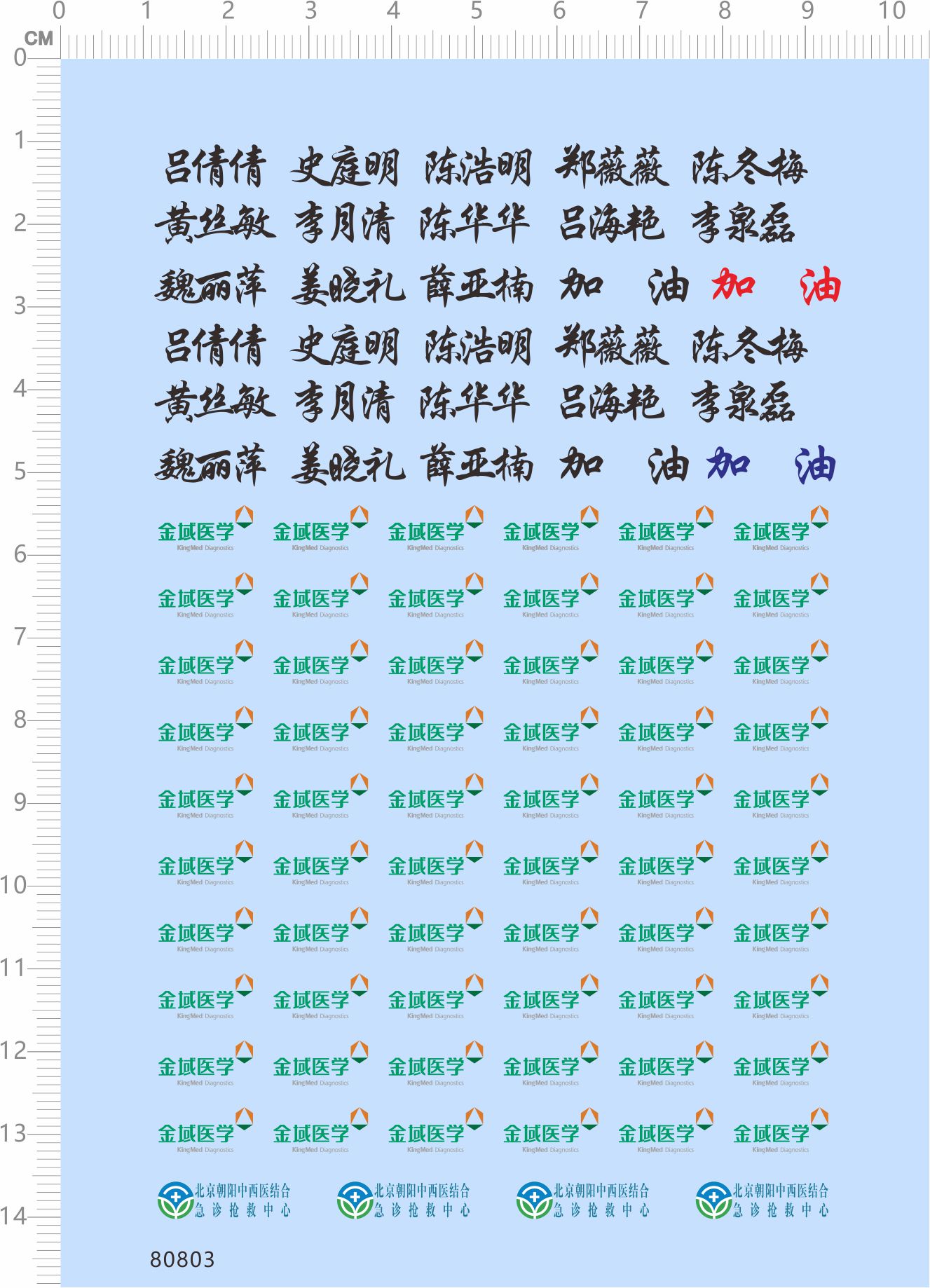 80803整版胶北京朝阳中西医结合急诊抢救中心名单医生护士医护人