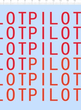 72242整版胶 PILOT SILVERCAT 模型水贴