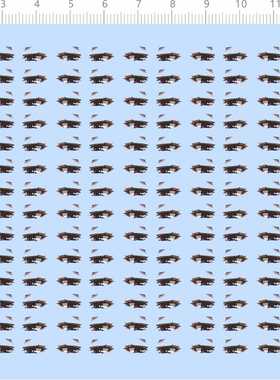 79178 无比例 圣观音 手办模型眼睛水贴 定制打印2403