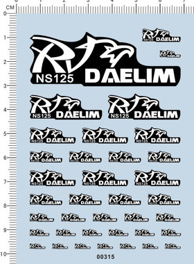 00315 RV NS125 DAELIM 模型车水贴纸
