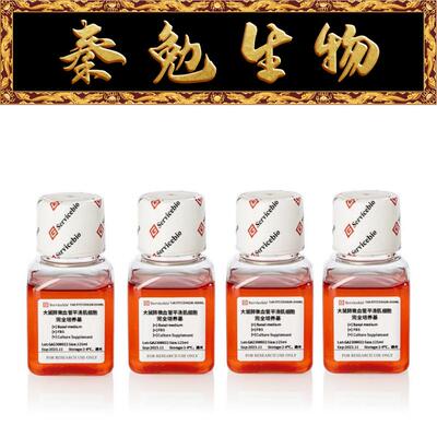 大鼠肺微血管平滑肌细胞培养基