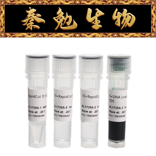Biosharp白鲨 BL1735A RapidCut Ⅱ SalI 快速限制性内切酶