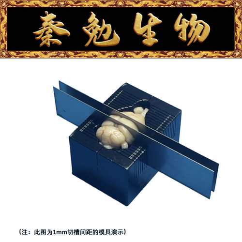 赛维尔切片模具（脑）SQP-H23